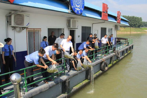 湖北省檢察機(jī)關(guān) 十年禁捕護(hù)航長(zhǎng)江生態(tài)，固體廢物治理助力大保護(hù)