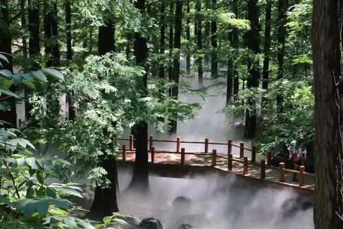 端午期間,北京市公園管理中心推薦16處網(wǎng)紅打卡地