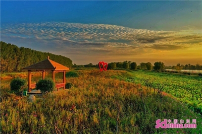 萬畝荷花 碧波蕩漾,微山湖旅游區(qū)被確定為5A級(jí)旅游景區(qū)!