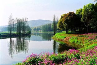 國慶個別景區(qū)門票明降暗升 進(jìn)景區(qū)后每項(xiàng)都單收費(fèi)