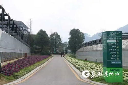 貴州多個景區(qū)陸續(xù)開園，游覽時園區(qū)管理服務(wù)與注意事項詳解