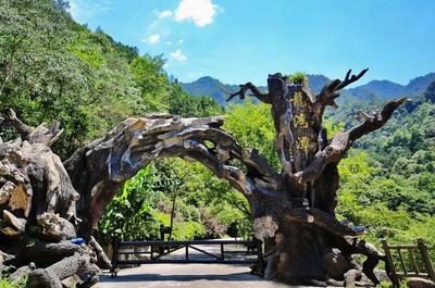 魔鬼秋千爆紅全網(wǎng) 浙旅集團深度體驗旅游產(chǎn)品成效凸顯，景區(qū)管理再升級