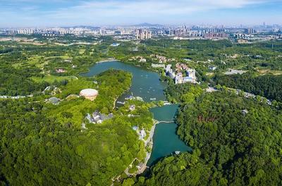 草地露營、國潮音樂節、少兒音樂匯 南京珍珠泉度假區假期精彩紛呈，盡顯卓越園區管理服務